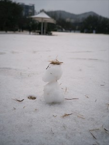 KakaoTalk_20260224_173714682_03