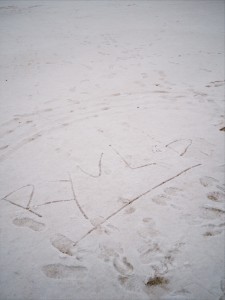 KakaoTalk_20260224_175825832