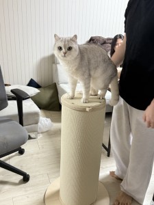 KakaoTalk_20260304_212046564_04