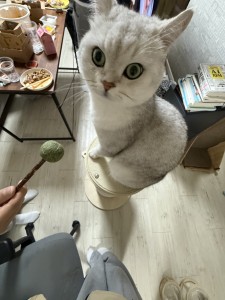 KakaoTalk_20260304_212046564_10