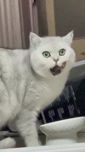 KakaoTalk_20260304_212438932