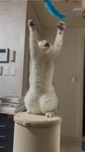 KakaoTalk_20260304_213018411_01