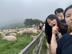 KakaoTalk_20260922_103502303_26